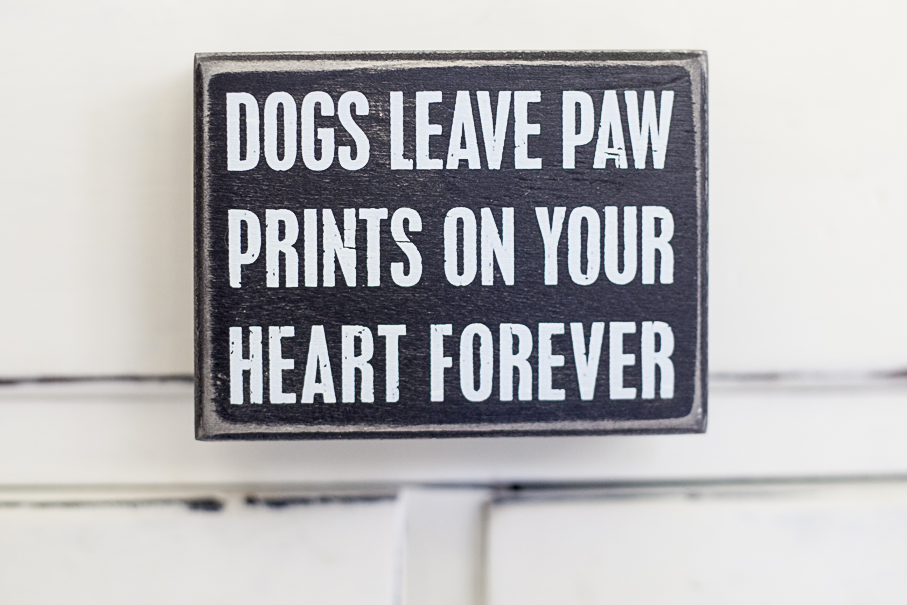 Dogs Leave Paw Prints... Box Sign