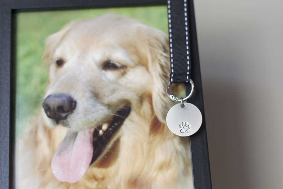 Pawprints Left by You Memorial Frame Pawprints Left by You Memorial Frame