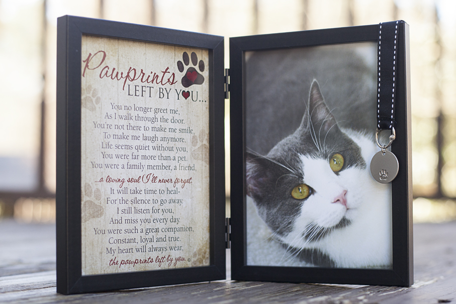 Pawprints Left by You Memorial Frame