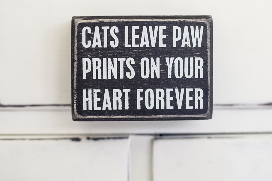 Cats Leave Paw Prints... Box Sign