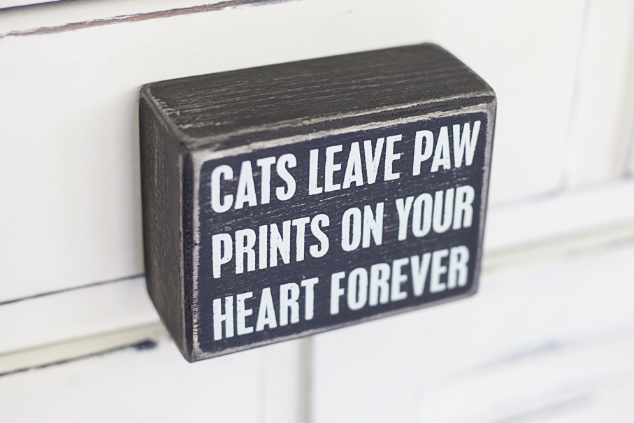 Cats Leave Paw Prints... Box Sign