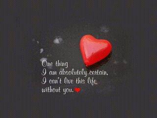 never stopped loving you
