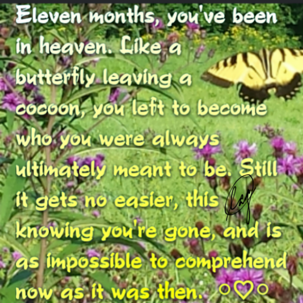 11 Months: It Gets No Easier
