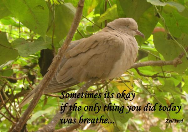 It's Okay...