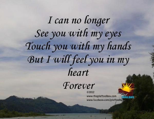 I can no longer see or touch you but I will feel you in my heart forever
