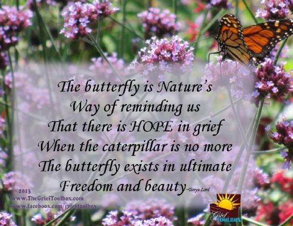 The Butterfly A Poem