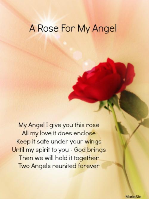A Rose For My Angel
