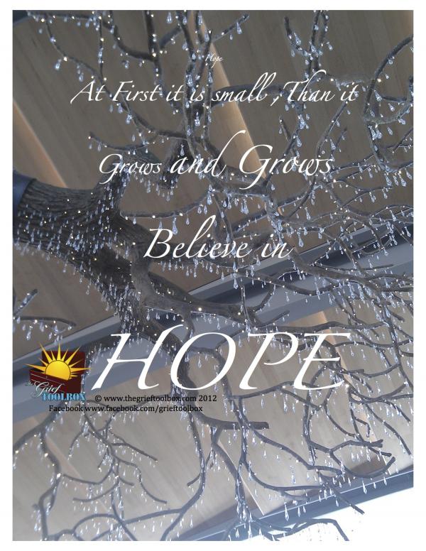 Believe in HOPE