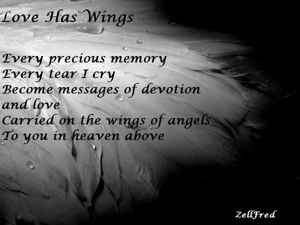 Love Has Wings