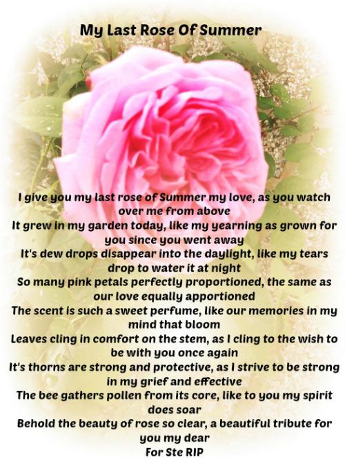 My Last Rose Of Summer