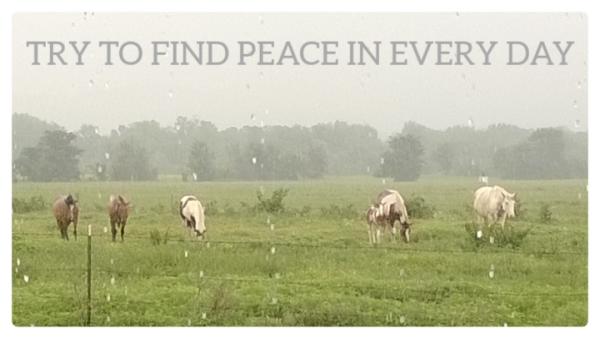Peace