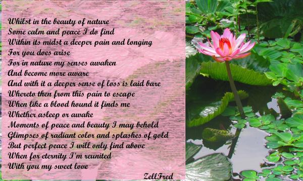 Perfect Peace