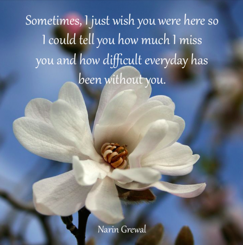 Sometimes I just wish ...