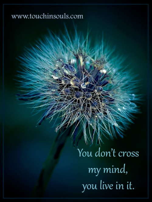 You don't cross ...