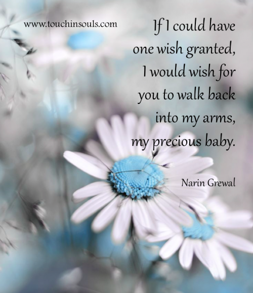 If I could have one wish ...