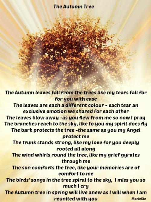 The Autumn Tree