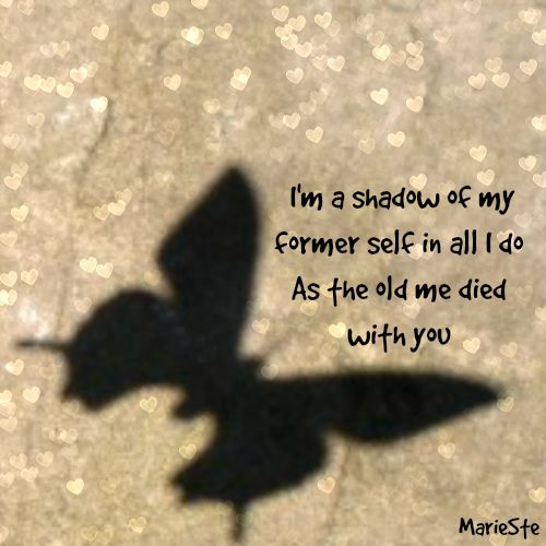The Shadow Effect