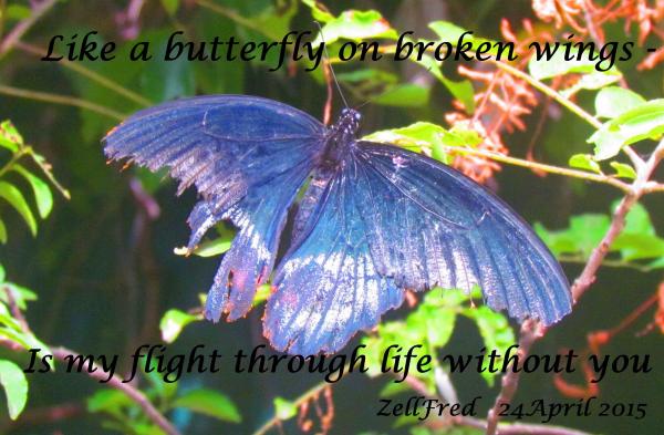Broken Wings