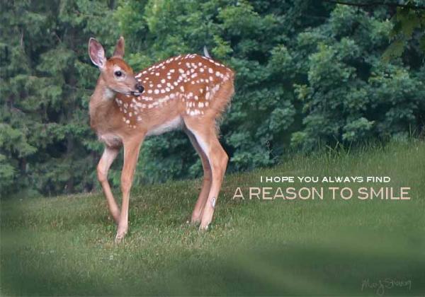 A Reason To Smile