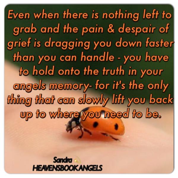 Hold onto truth