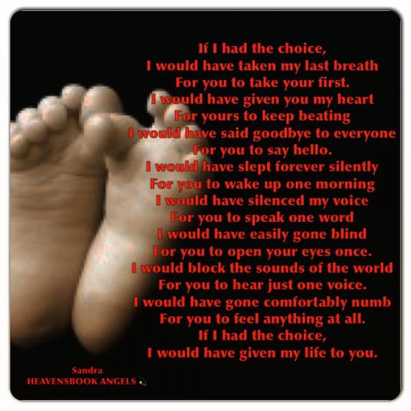 If I had the choice