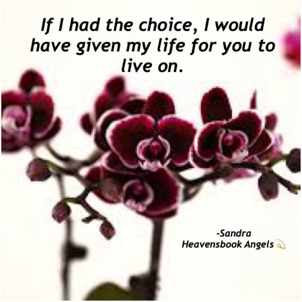 If I Had The Choice