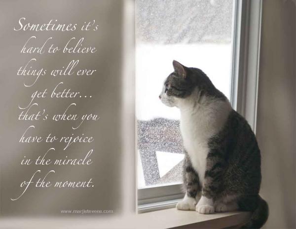 The Miracle of the Moment