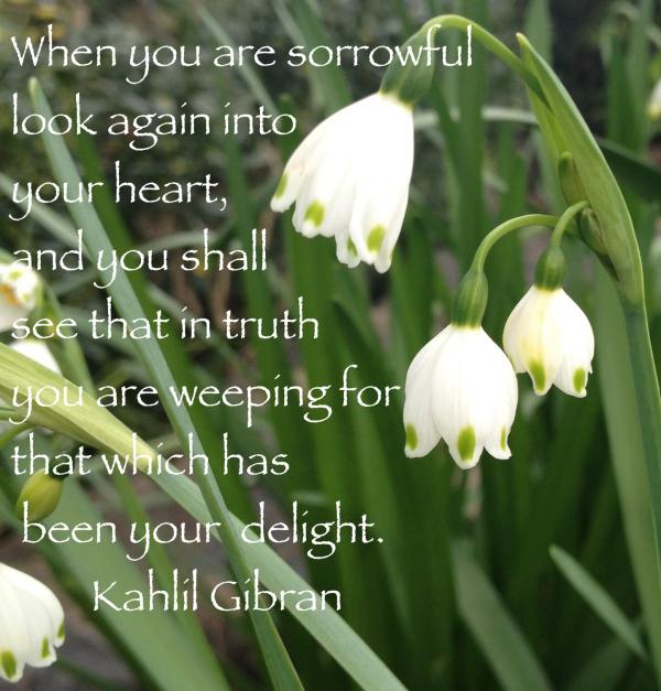 When you are sorrowful look again into your heart...