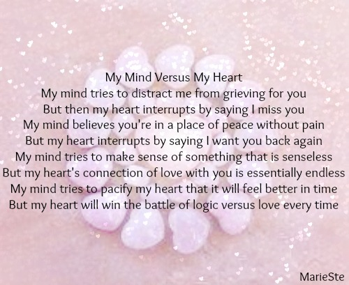My Mind Versus My Heart