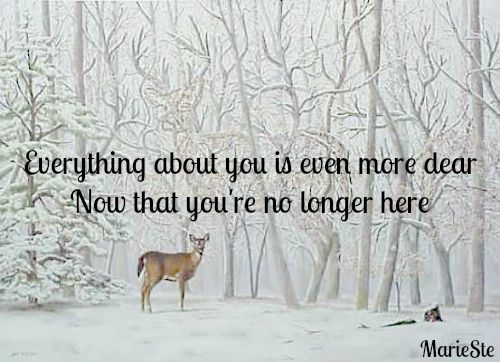 Even More Dear