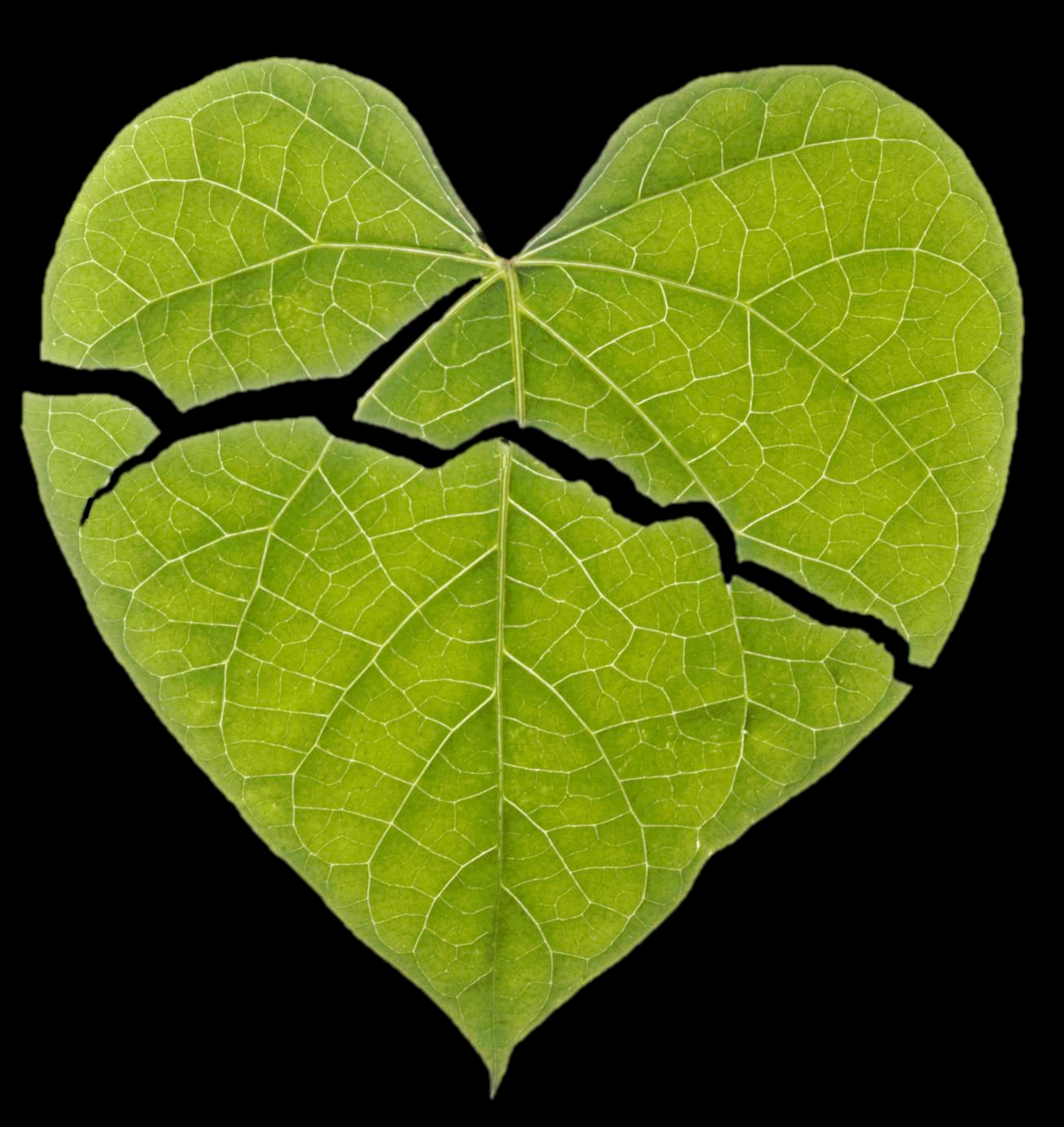 Can counseling really help a broken heart?