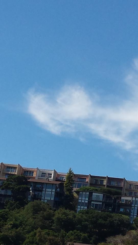 My Angel Now Has Wings