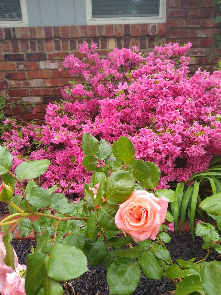 My Forever Memories of You Grief Blog- 4 Benefits that Can Come from Grief
