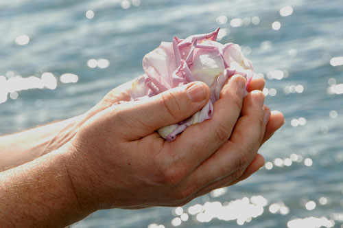 You Let Go