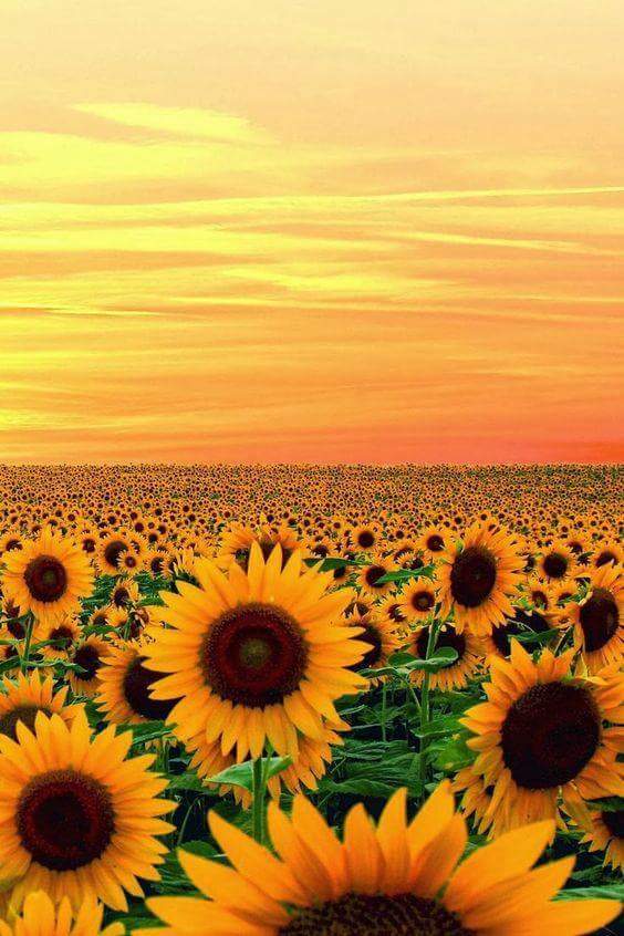 Ten Things I Never Expected From Grief