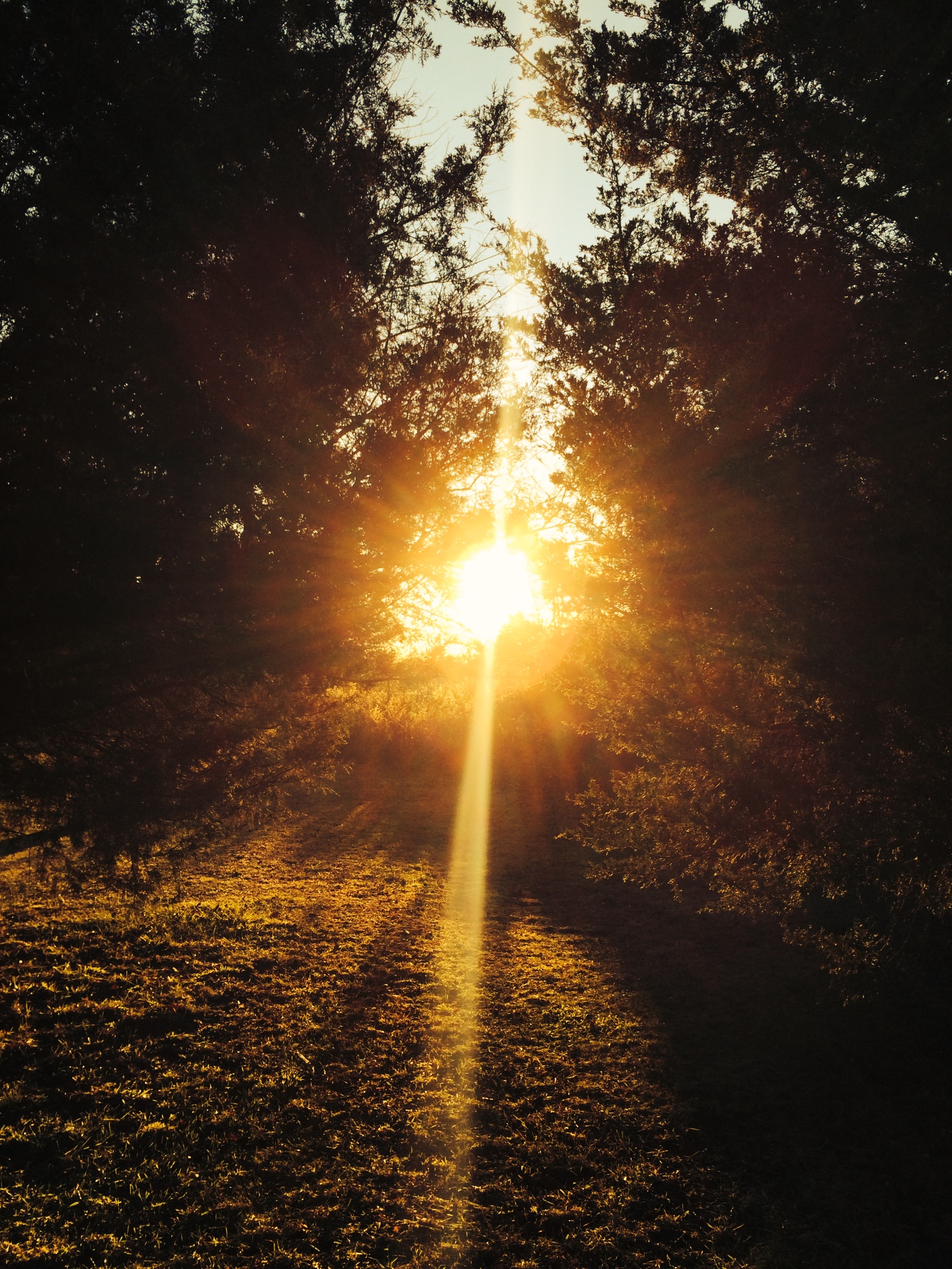 The Light of Darkness