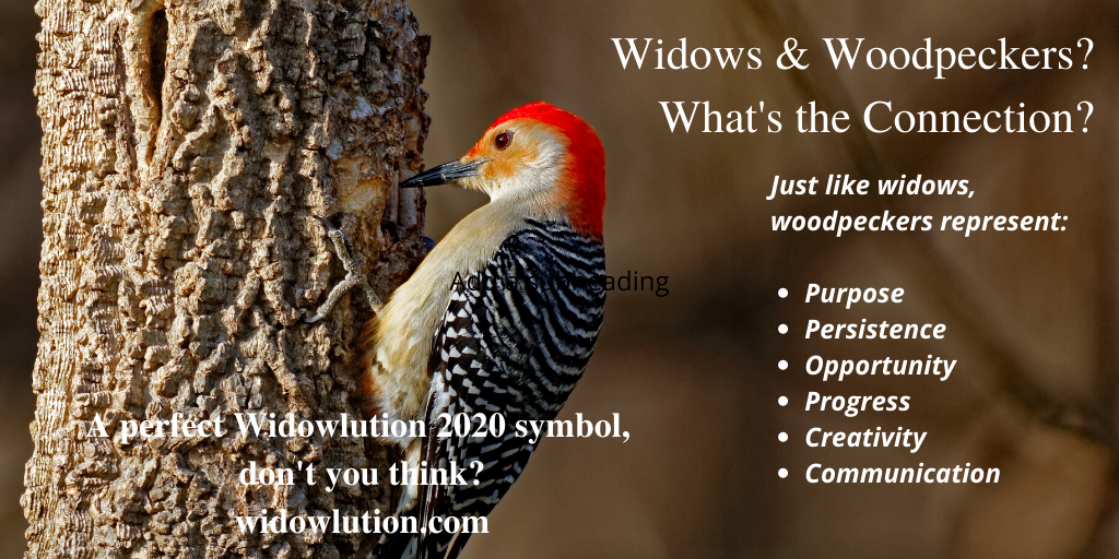 Widows and Woodpeckers...What's the Connection?