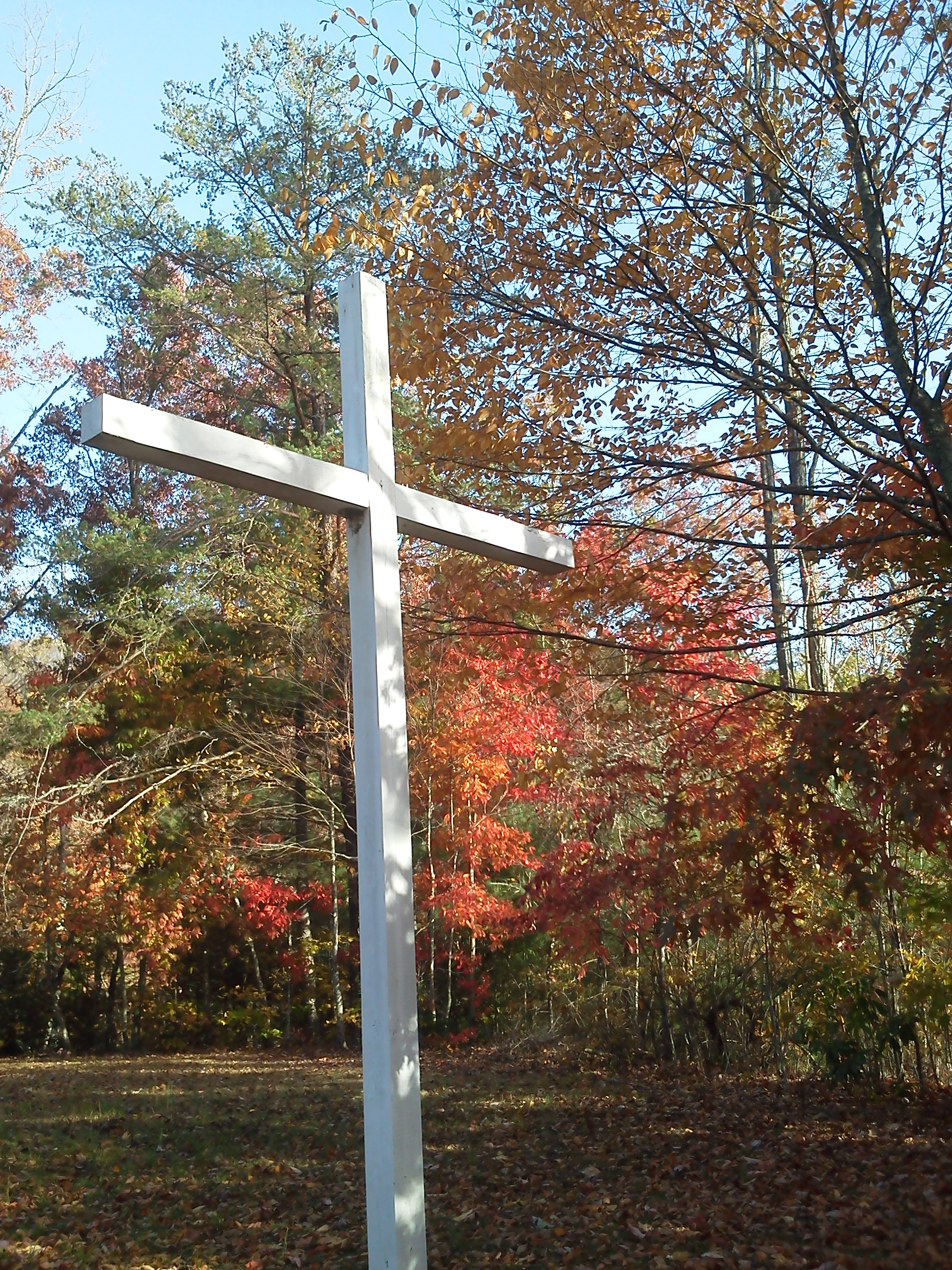 Hope for the Holidays