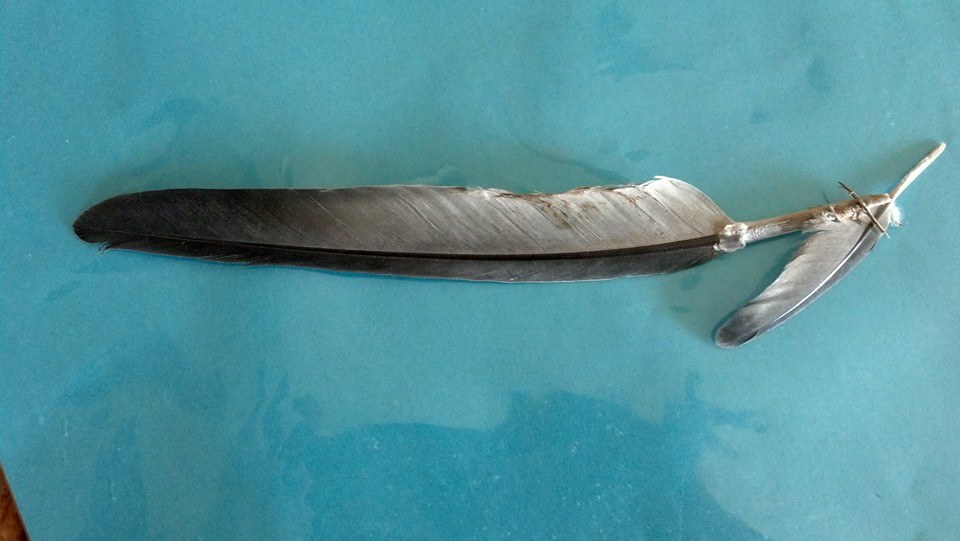 Mother/Child Feathers