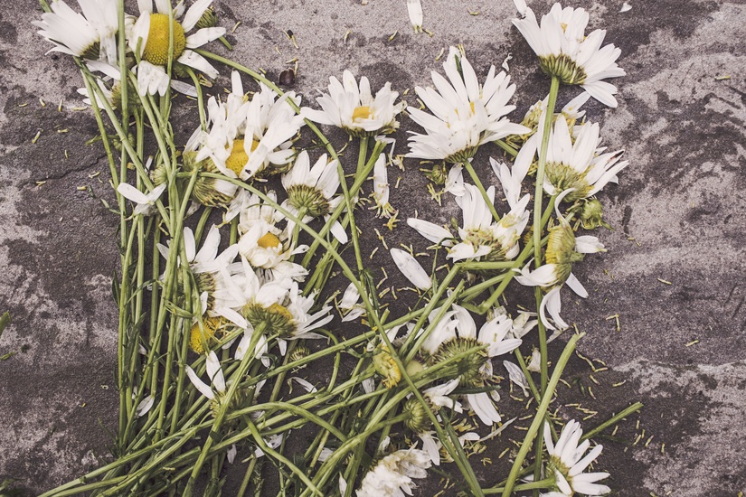 Thoughts on Fear of Death