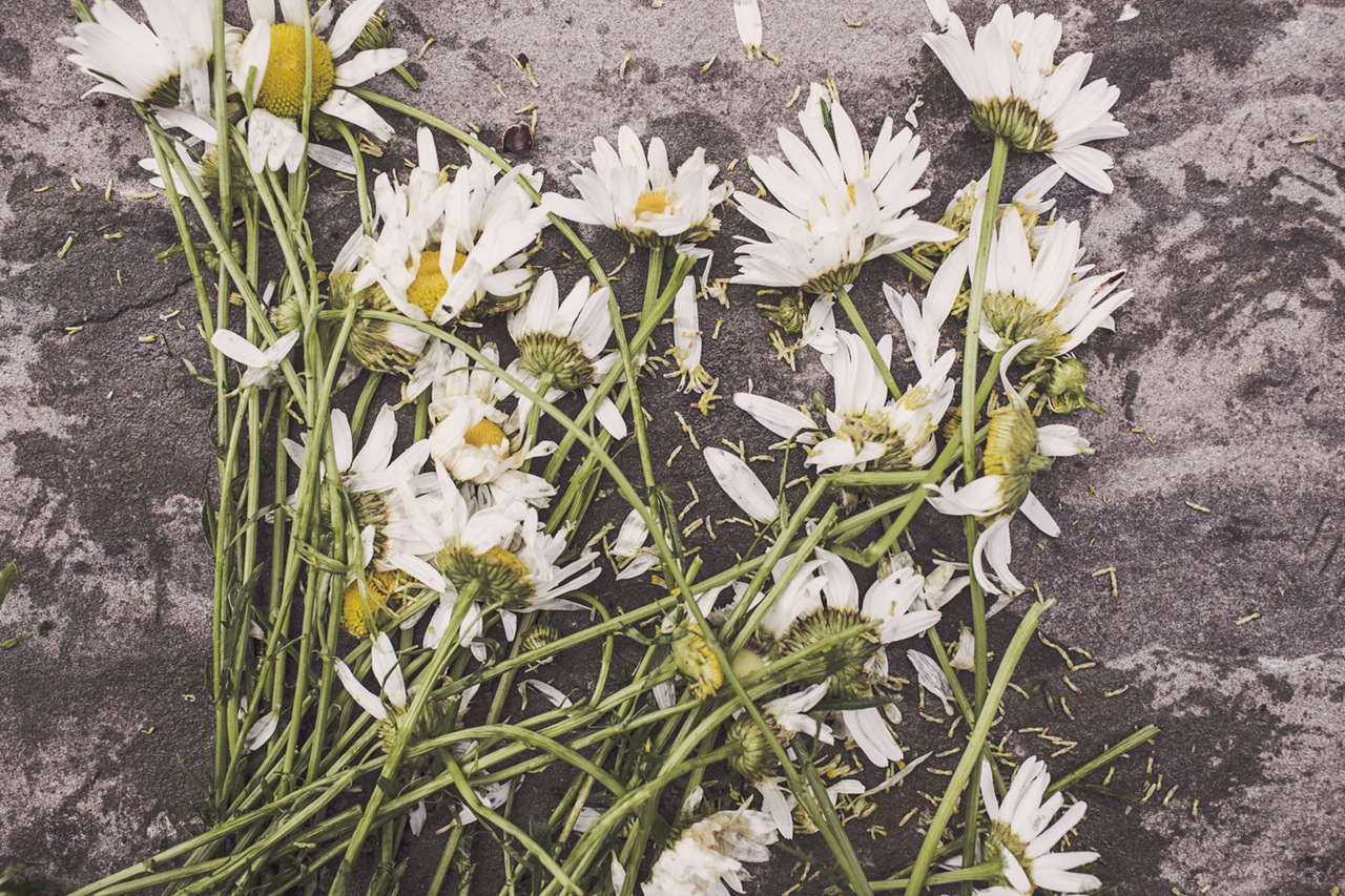 Secondary Losses: Why Grief is So Hard & Lasts So Long