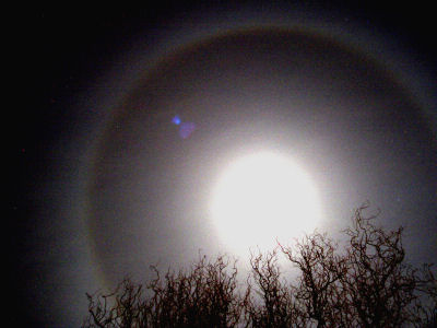 Hail to the Full Moon