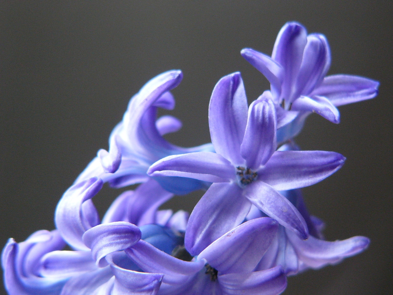 The Role of Forgiveness as a Tool for Healing
