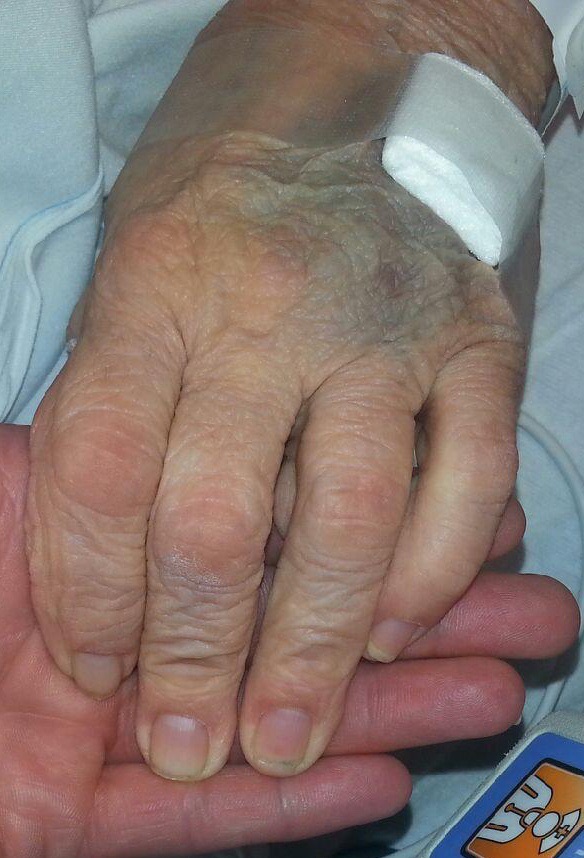 Mama's hands