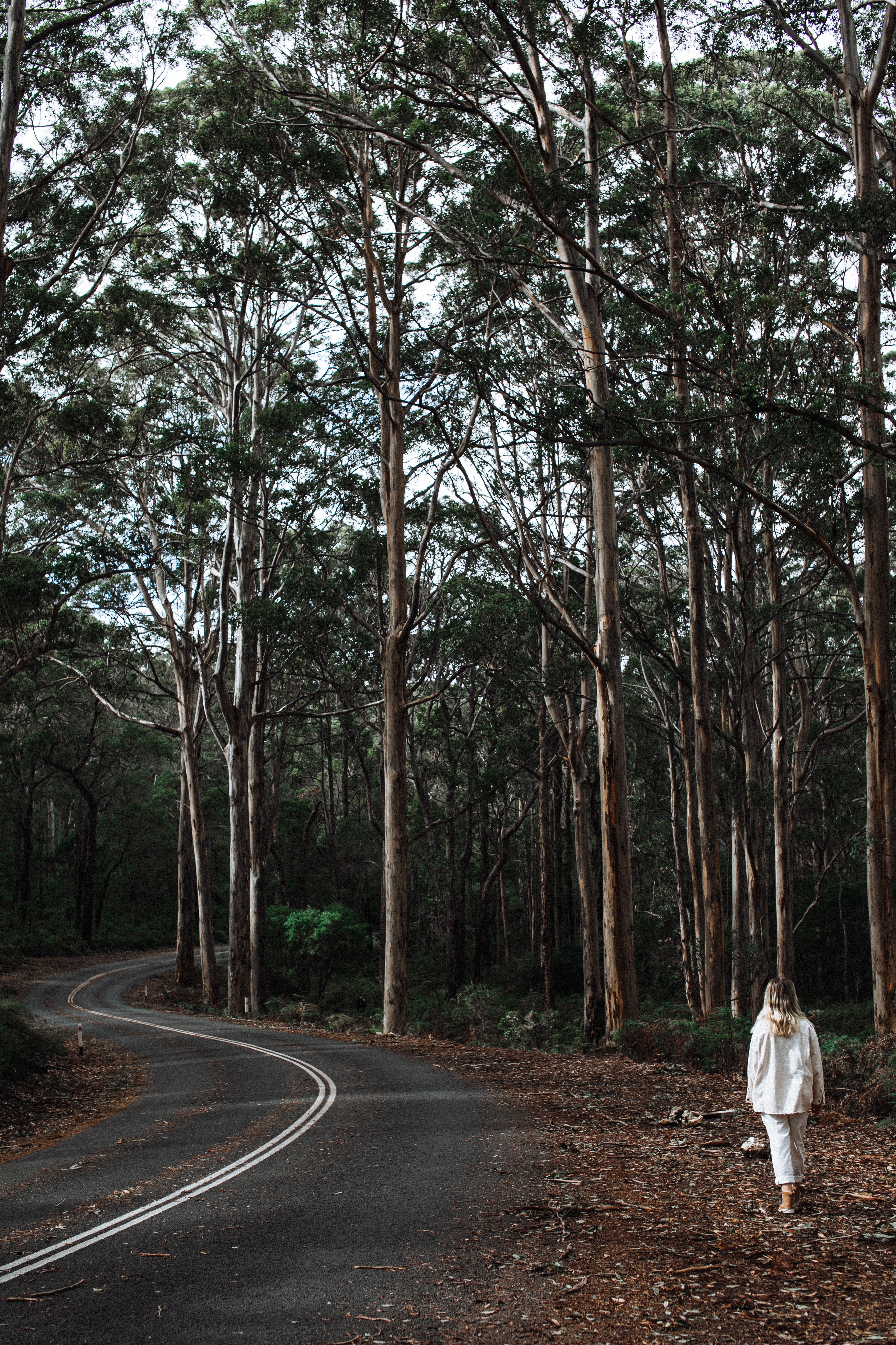 The Road Less Traveled
