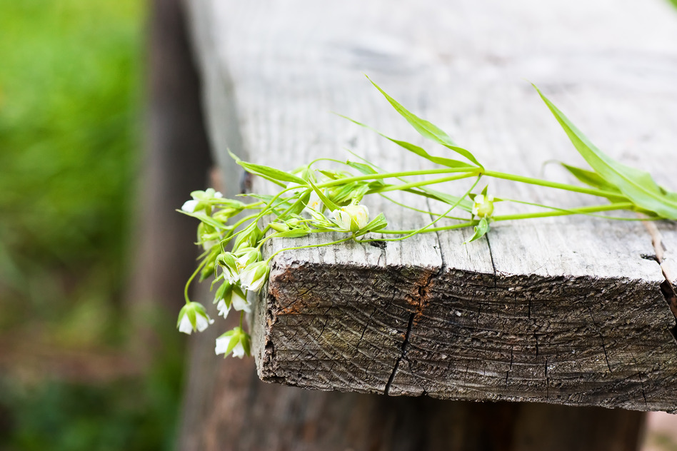 Grief Depression: What to Do When the Color is Gone