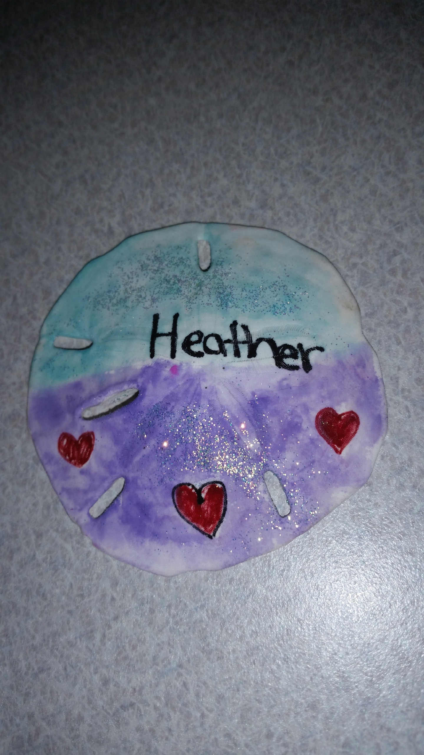                                                          The Sand Dollar