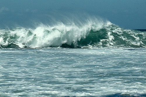 My Journey Discovering & Navigating the Waves of Grief
