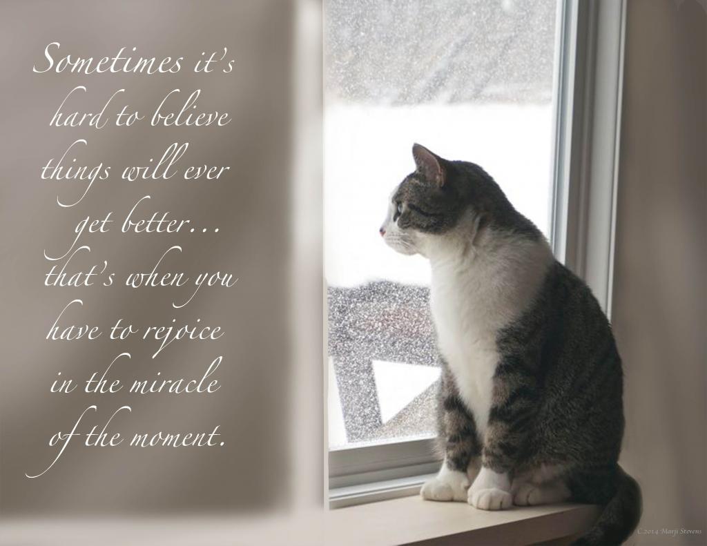 Miracle of the Moment