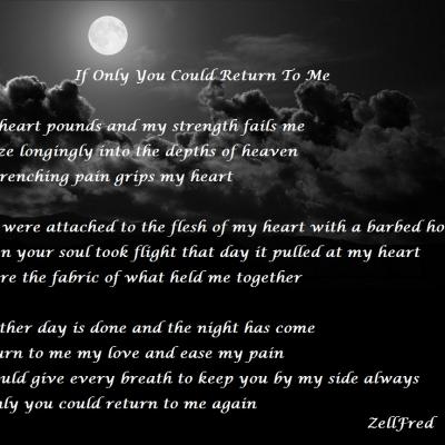 If Only You Could Return To Me
